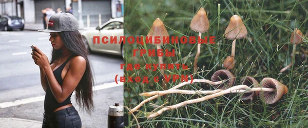 MDMA Гусиноозёрск
