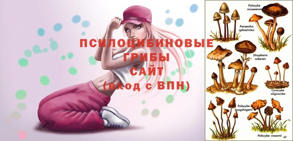 a pvp Абаза